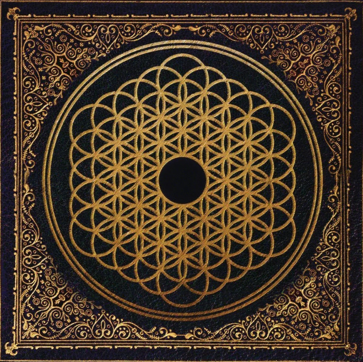 Shadows of Dawn album cover
